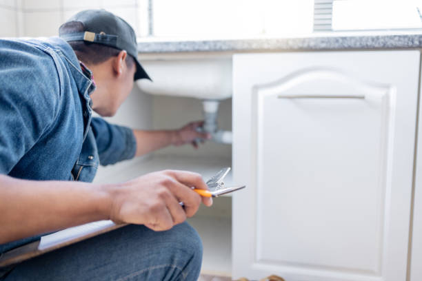 Best Septic Systems  in Lago Vista, TX